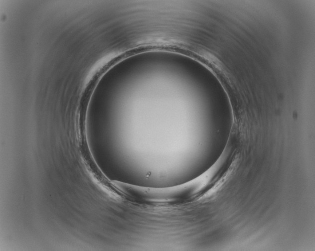 X0000068311030200604211158