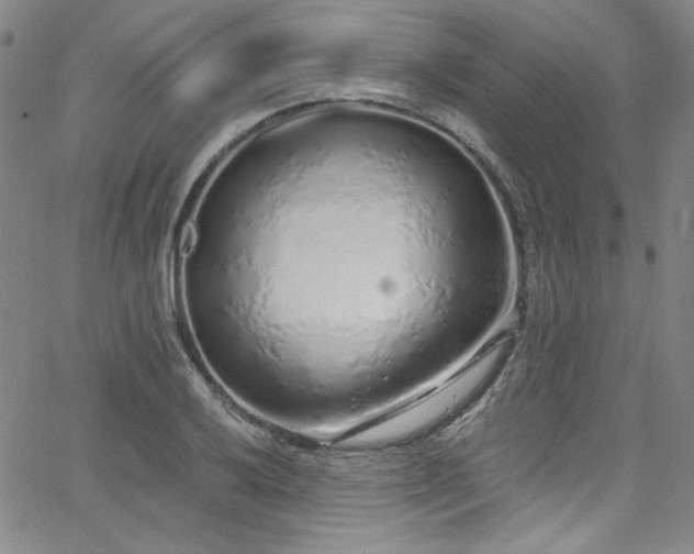 X0000068311032200604211158