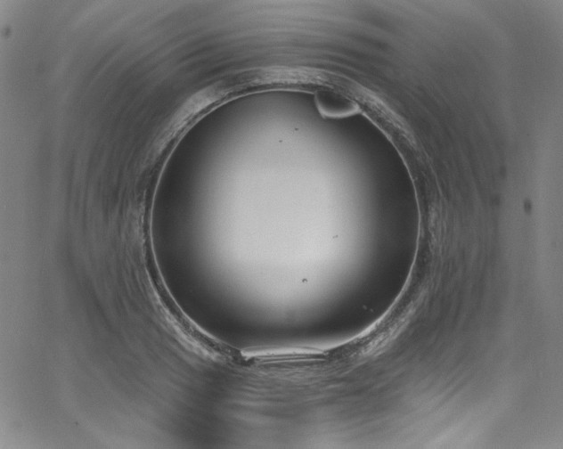 X0000068311033200604211159