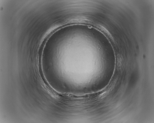 X0000068311035200604211159