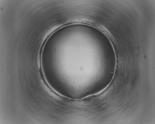 X0000068311036200604211159