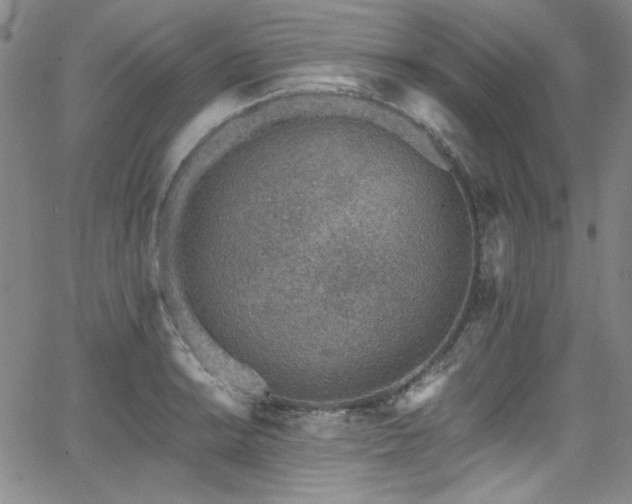 X0000068311038200604211159