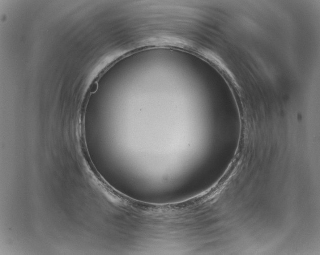 X0000068311040200604211159