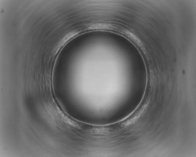 X0000068311041200604211159