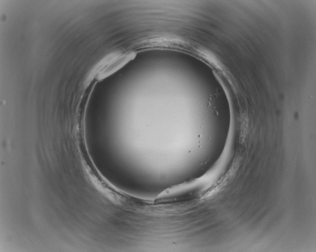 X0000068311042200604211159