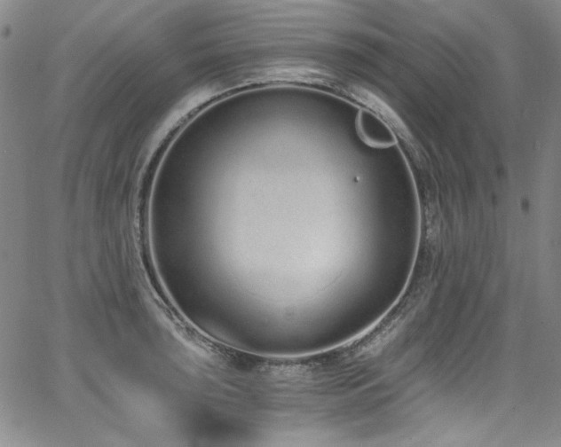 X0000068311043200604211159