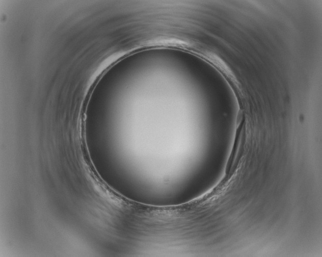 X0000068311044200604211159