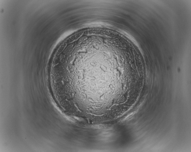 X0000068311045200604211159