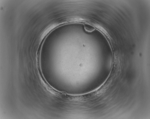 X0000068311047200604211159