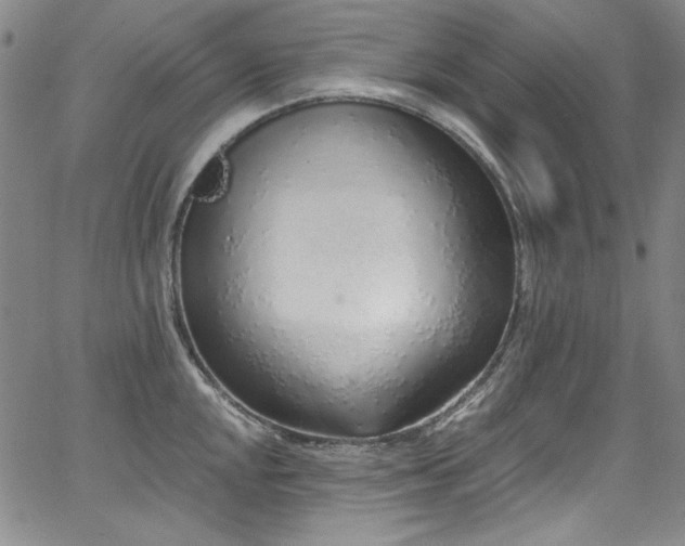 X0000068311048200604211159