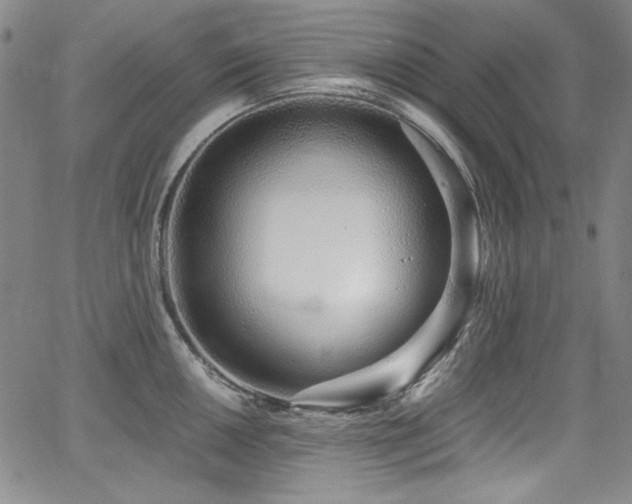 X0000068311050200604211159