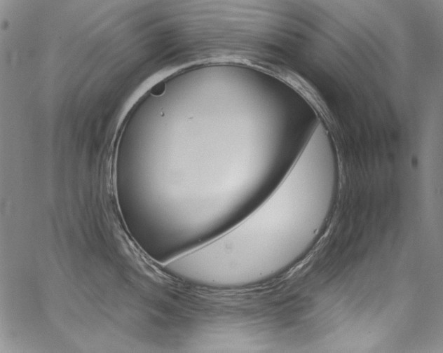 X0000068311052200604211159