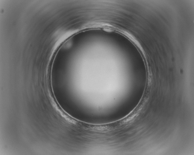 X0000068311053200604211159