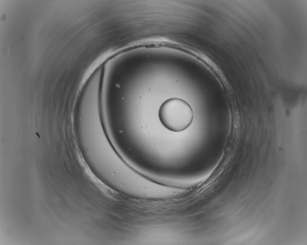 X0000068311054200604211159