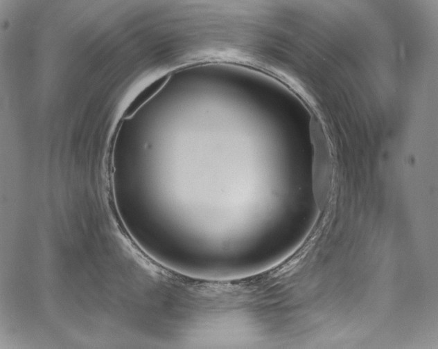 X0000068311056200604211159