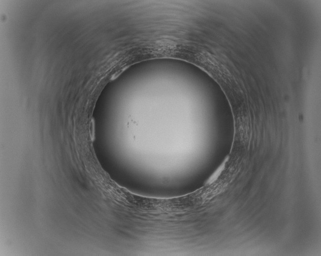 X0000068311057200604211158