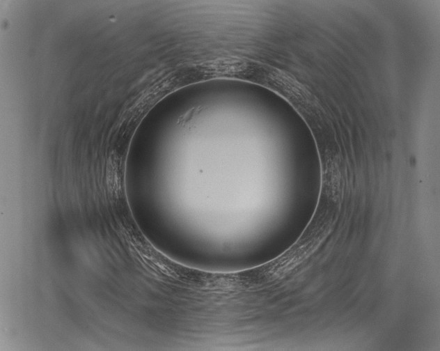 X0000068311058200604211158