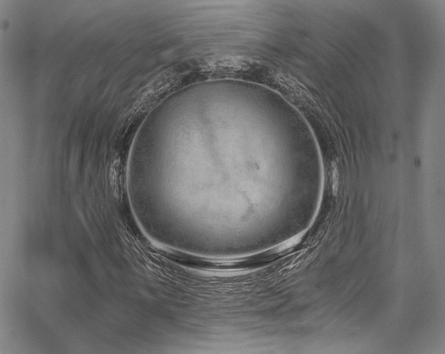 X0000068311059200604211158