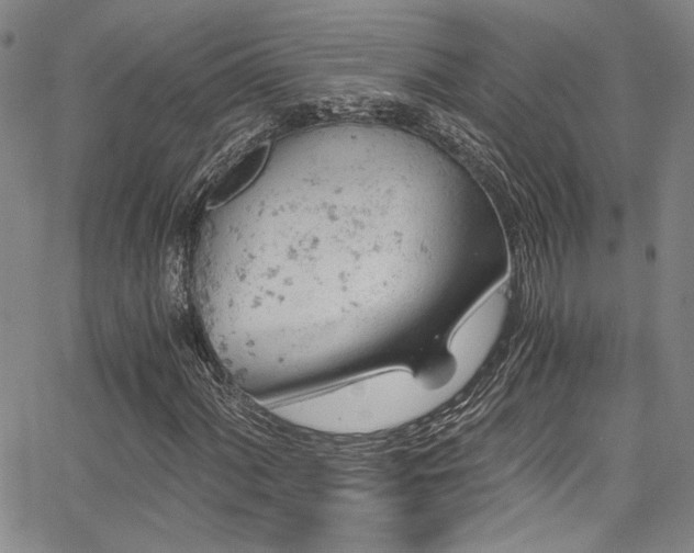 X0000068311060200604211158