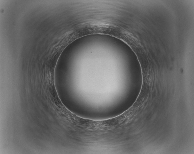 X0000068311061200604211158