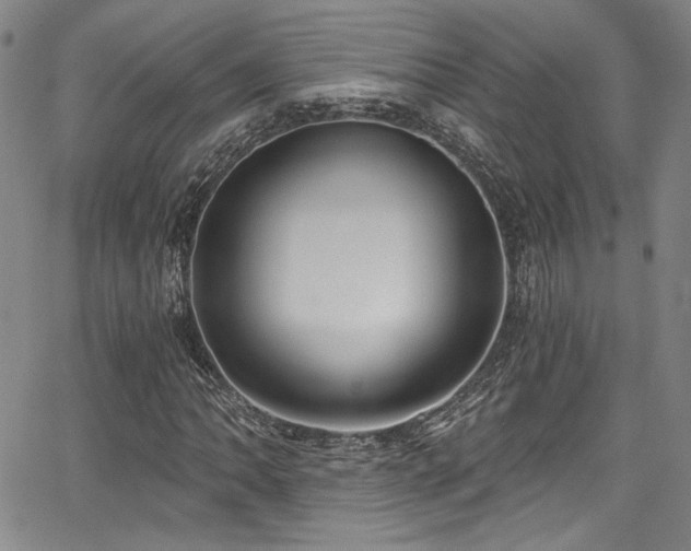 X0000068311062200604211158