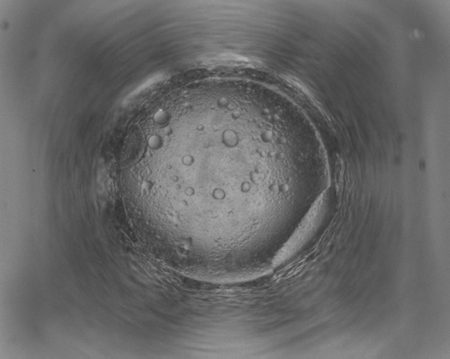 X0000068311063200604211158