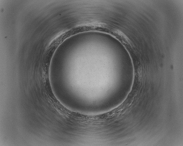 X0000068311064200604211158