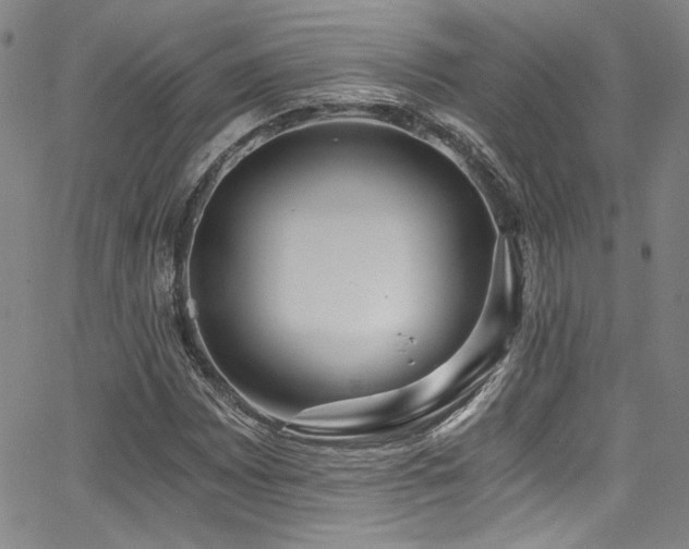 X0000068311065200604211158