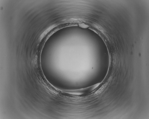 X0000068311066200604211158