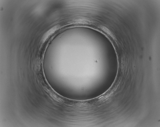 X0000068311067200604211158