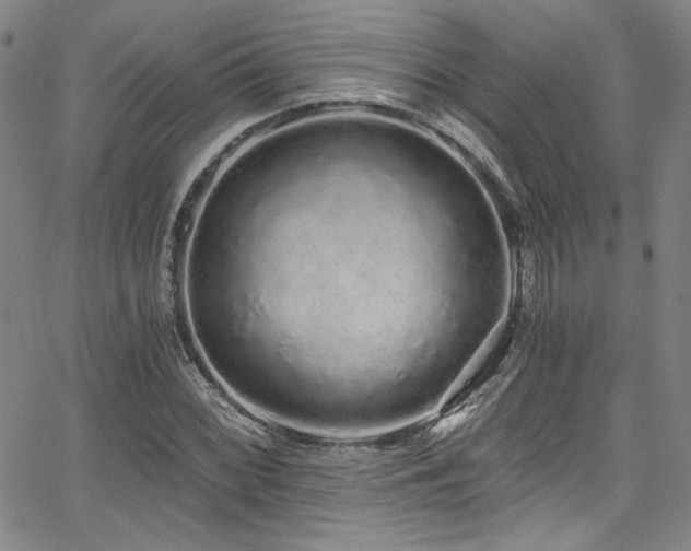 X0000068311068200604211158