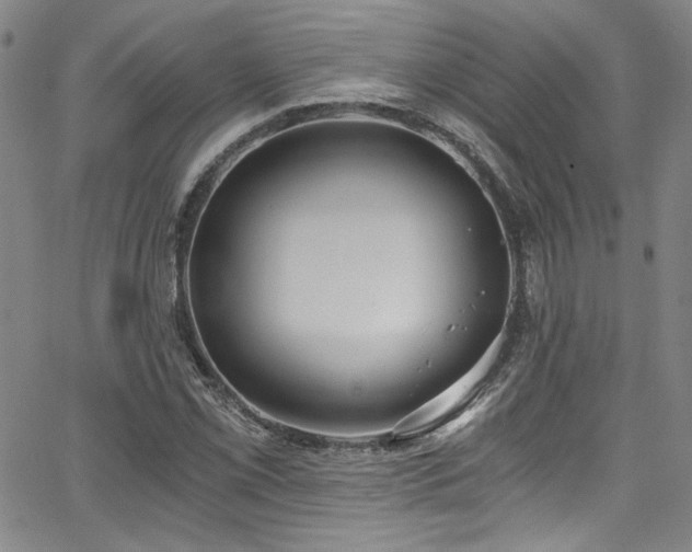 X0000068311069200604211158