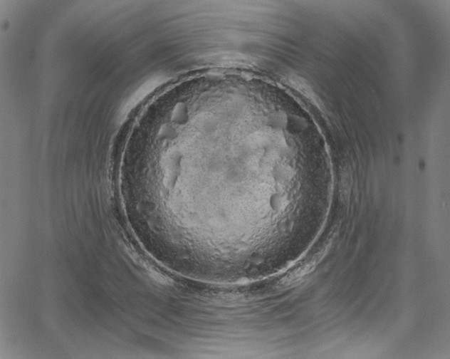 X0000068311071200604211158