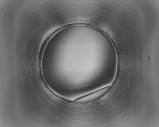 X0000068311072200604211158