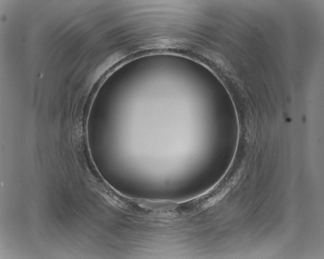 X0000068311073200604211158