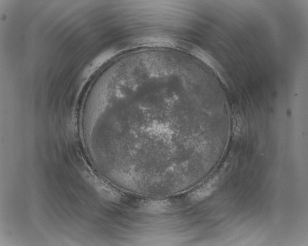 X0000068311074200604211158