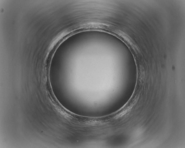 X0000068311075200604211158