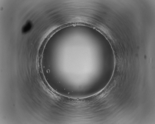 X0000068311076200604211158