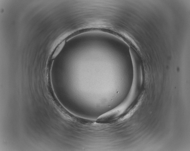 X0000068311077200604211158