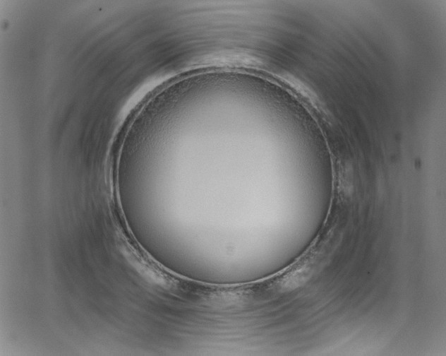 X0000068311078200604211158