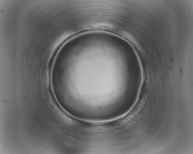 X0000068311079200604211158