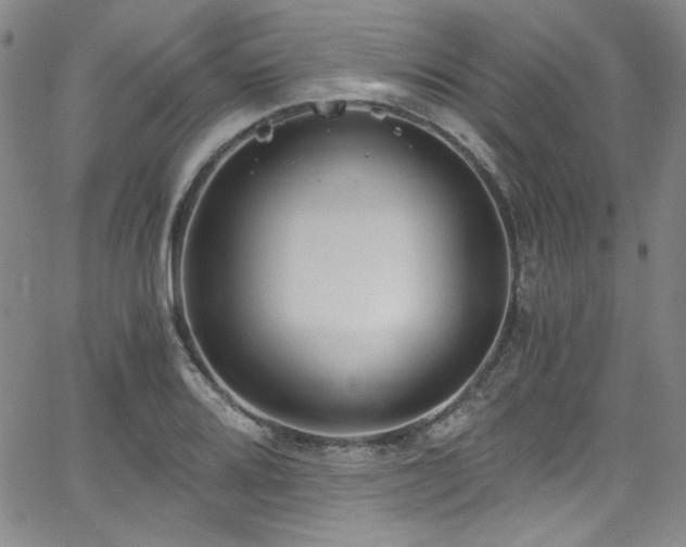 X0000068311080200604211158