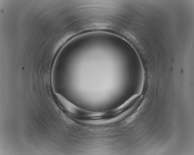 X0000068311081200604211158