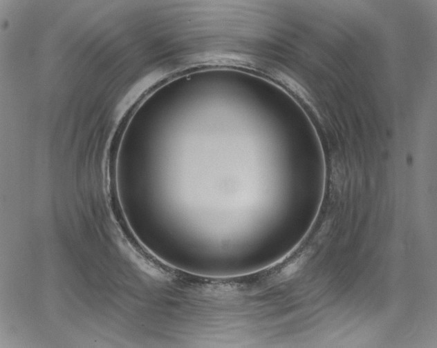 X0000068311082200604211158