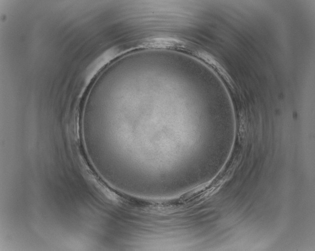 X0000068311083200604211158