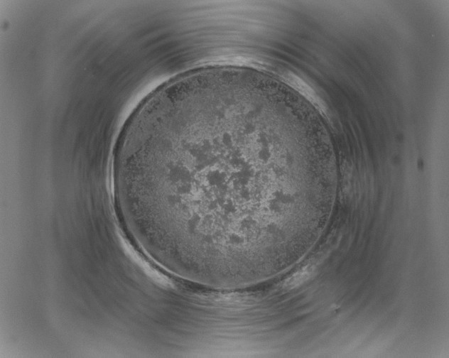 X0000068311084200604211158