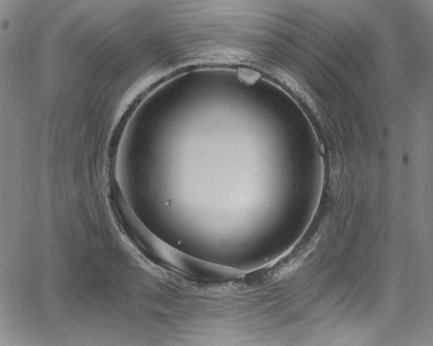 X0000068311085200604211158