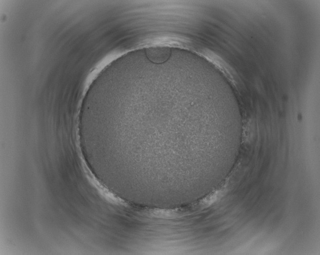 X0000068311086200604211158