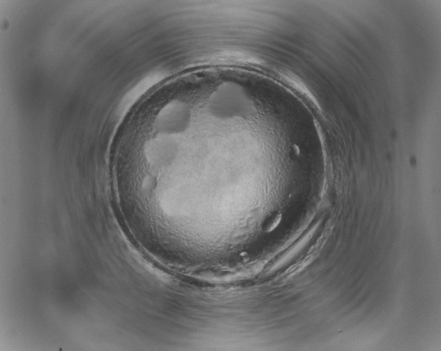 X0000068311087200604211158