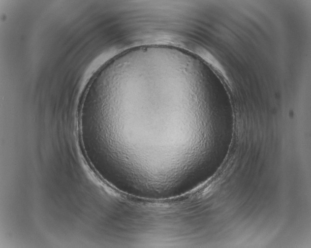 X0000068311088200604211158